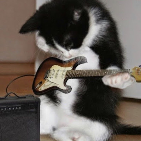 Meet your Posher, Mireya - Picture 1 of 1